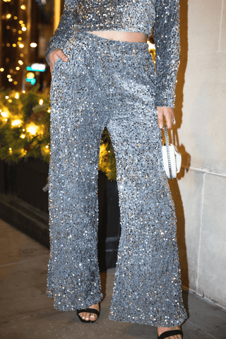 Velvet Sequin Palazzo Trousers in Silver