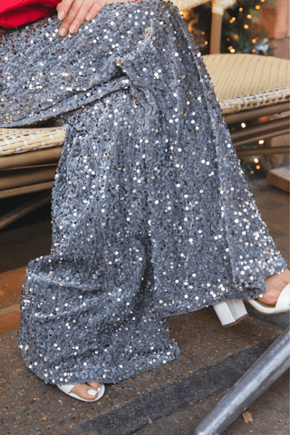 Velvet Sequin Palazzo Trousers in Silver